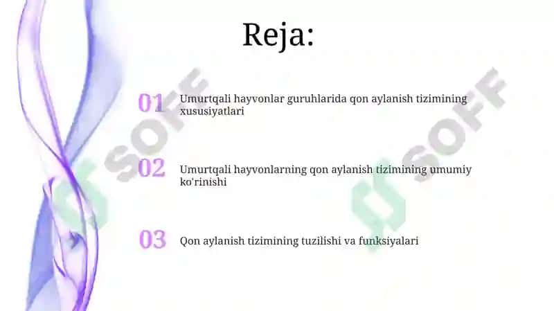 Umurtqali hayvonlarning qon aylanish sistemasi 2