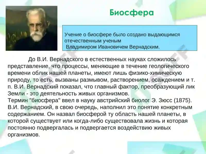 Деятельность живых организмов 2