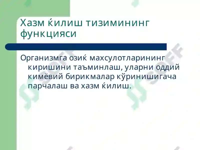 Хазм ќилиш тизими 2