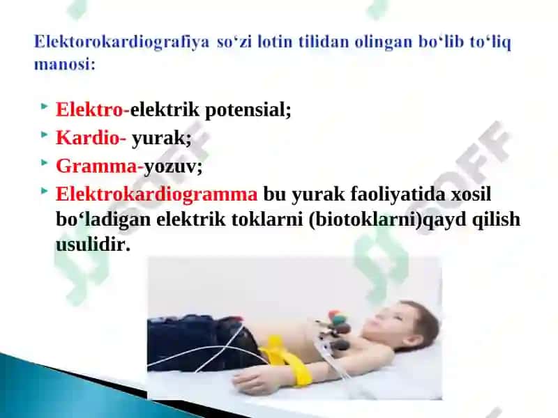 Elektro-elektrik potensial 2