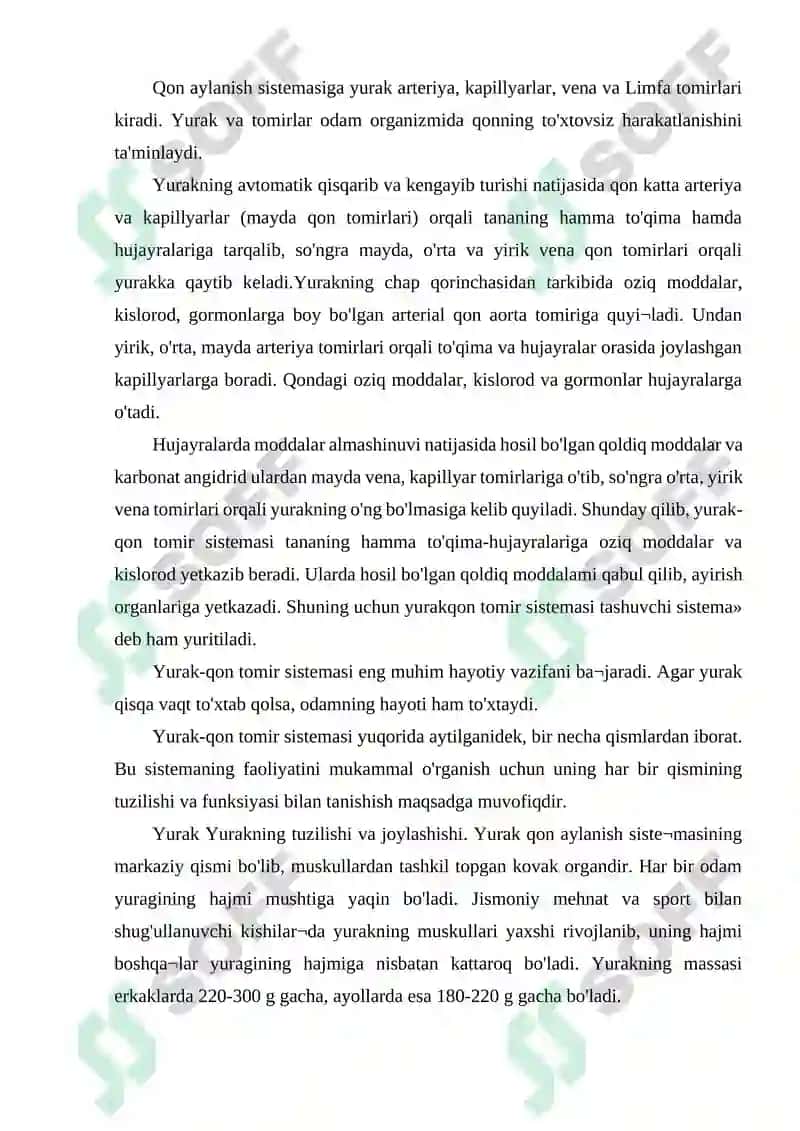 YURAK QON TOMIR GISTOLOGIYASI 2