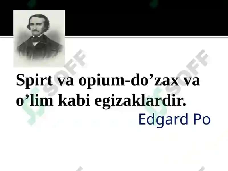 To‘yingan bir atomli spirtlar 2