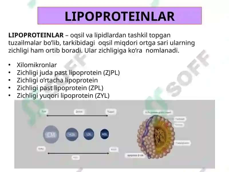 LIPIDLARNING METABOLIZMI 2