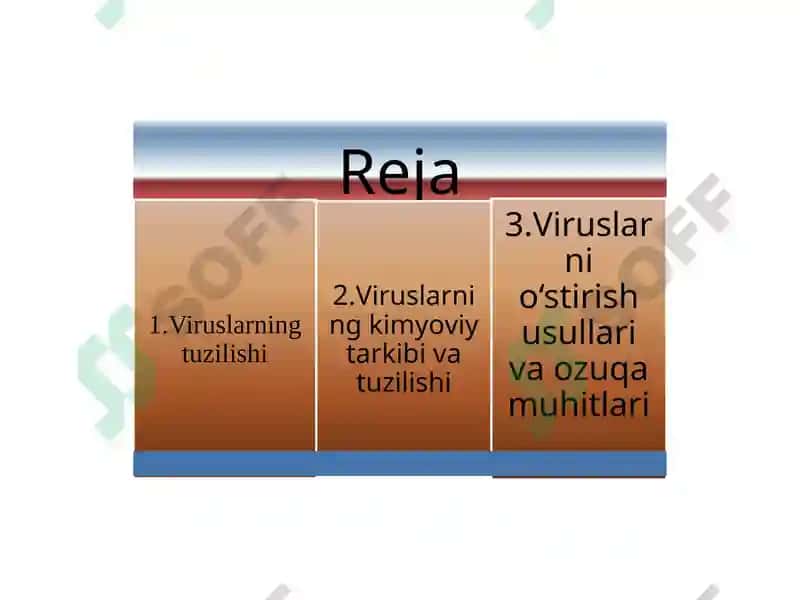 Virusologiya 2