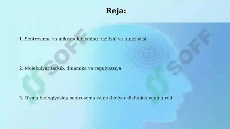 Sentrosoma va mukronaycha tuzilishi 2