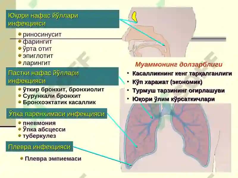 Болаларда Пневмония 2