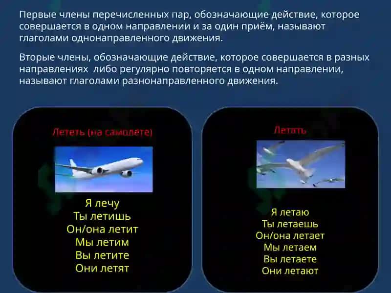 ГЛАГОЛЫ ДВИЖЕНИЯ 2