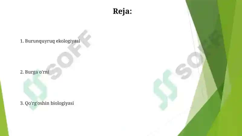 Oyog`dumlilar - Collembola 2