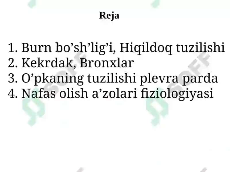 Nafas olish fiziologiyasi 2