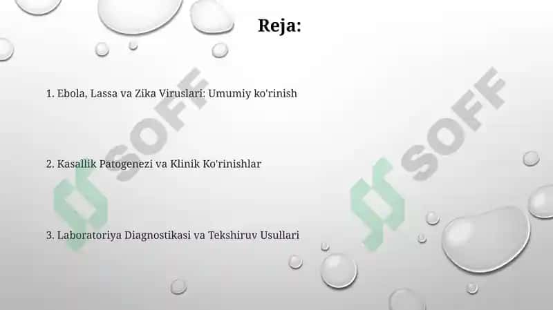 Ebola, Lassa va Zika Viruslari: Umumiy ko'rinish 2