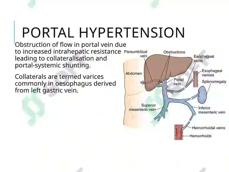 A case from practical medicine 2