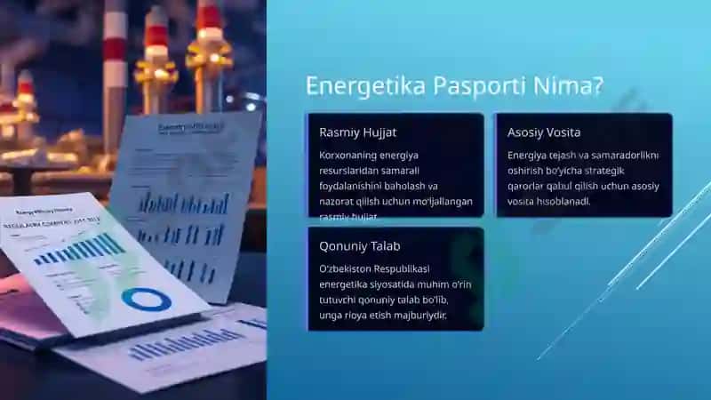 Korxonaning Energetika Pasporti: Mazmuni va Namunalari 2