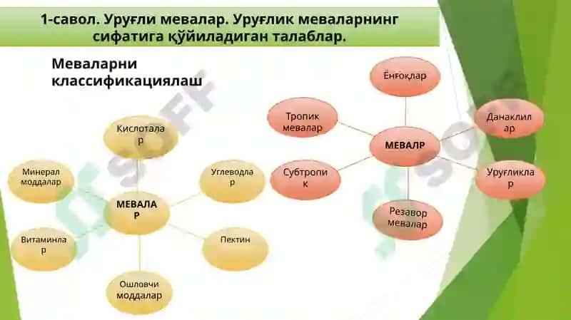 Янгисабзавотлар 2
