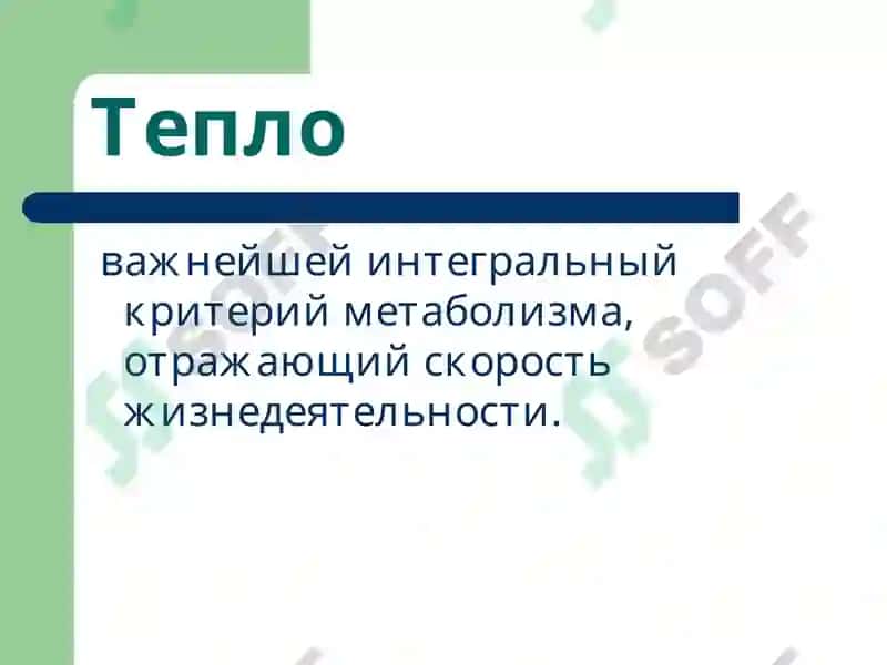 Лекция 4 Патофизиология 2