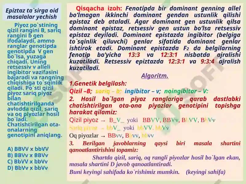 Epistaz ta`siri (Biologiya) 2