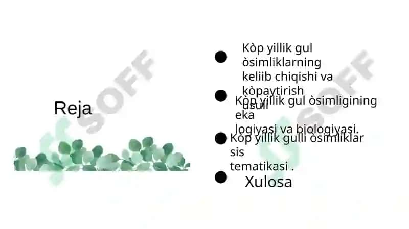 Koʻp yillik oʻsimliklar 2