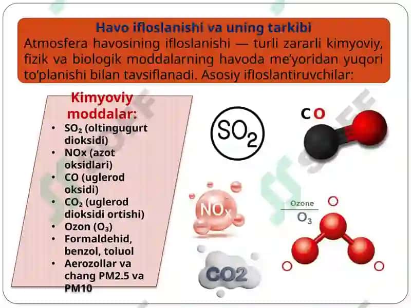 Havo ifloslanishining inson organizmiga ta'siri 2