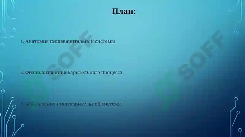 Система пищеварение 2