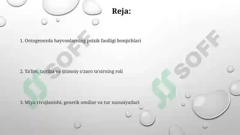 Hayvonlarning psixik faoliyatini ontogenez davri 2