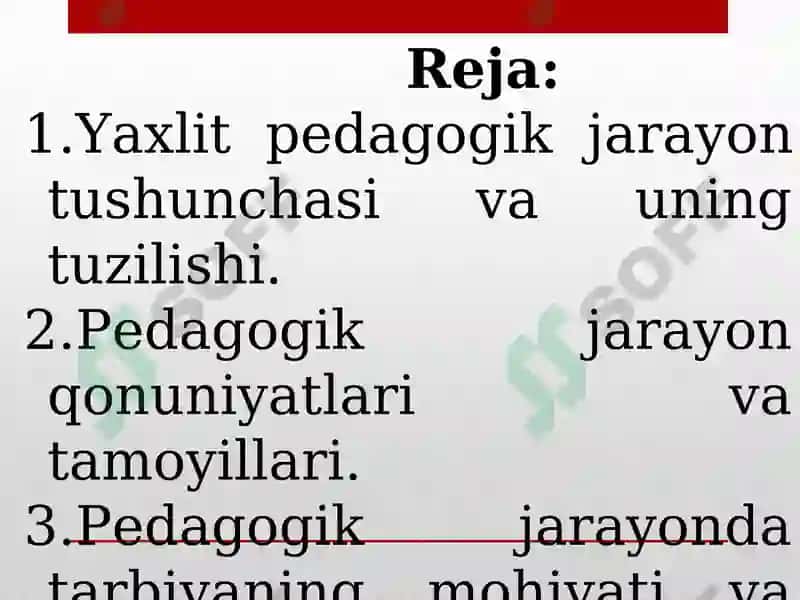 Yaxlit pedagogik jarayon 2