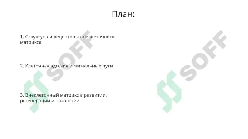 Взаимоотношения клетки и внеклеточного матрикса 2