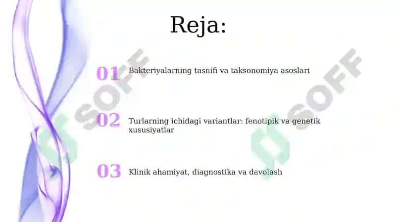 Bakteriyalarking klassifikatsiyasi 2