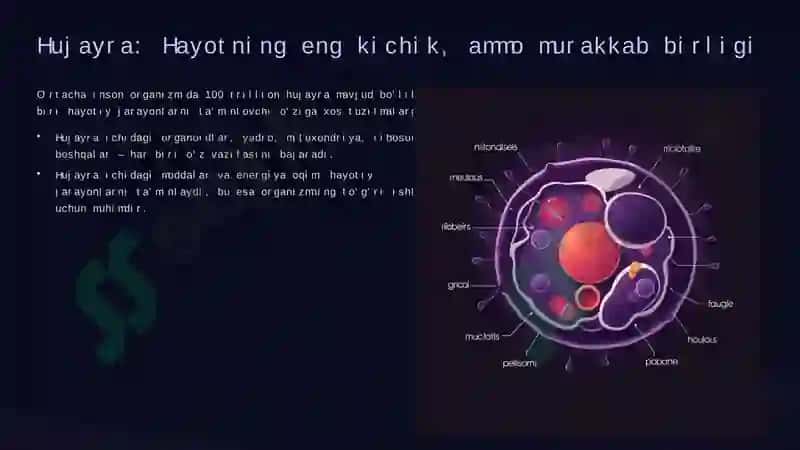 Hujayra: Hayotning eng kichik, ammo murakkab birligi 2
