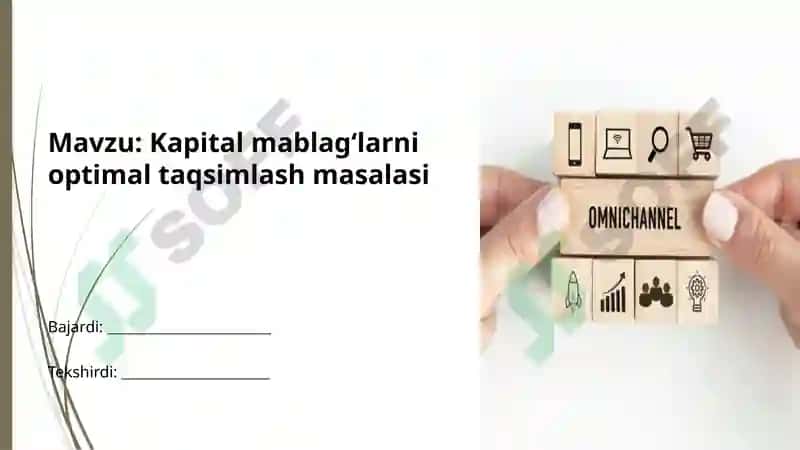 Kapital mablag‘larni optimal taqsimlash masalasi 2