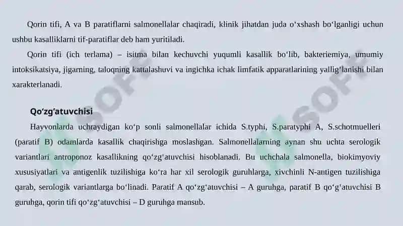 Qorin Tifi (Ich Terlama) 2