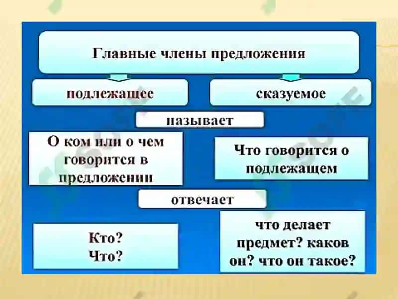 Иккинчи даражали гаплари 2