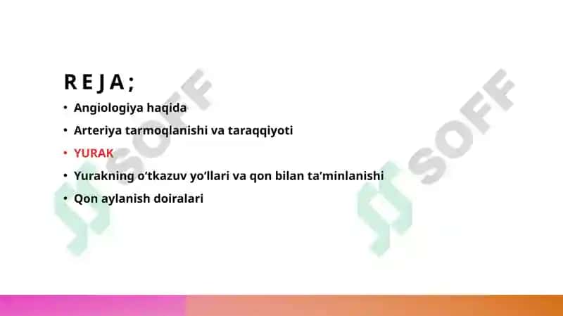 Yurak tuzilishi 2