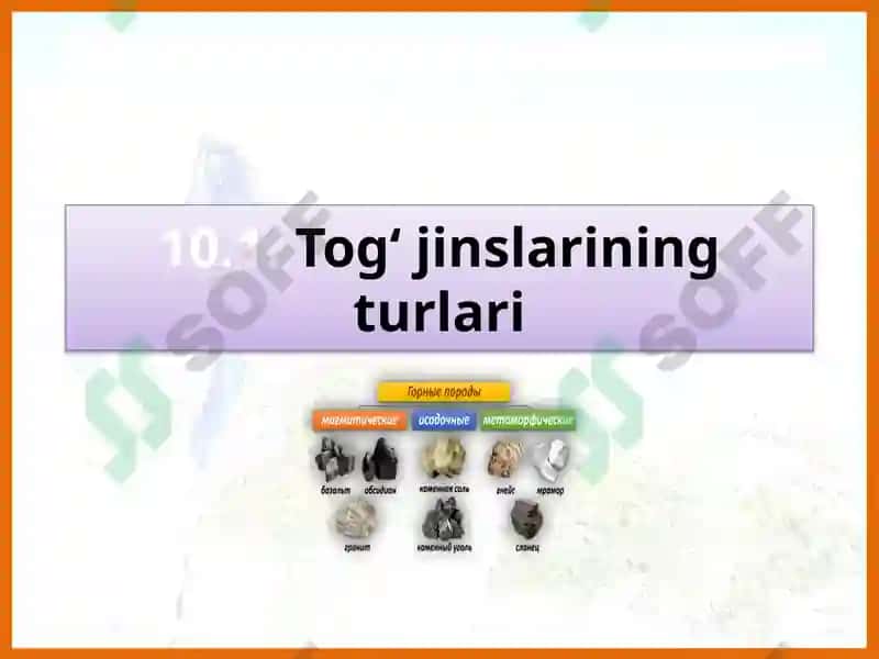 Tog‘jinslarining turlari 2
