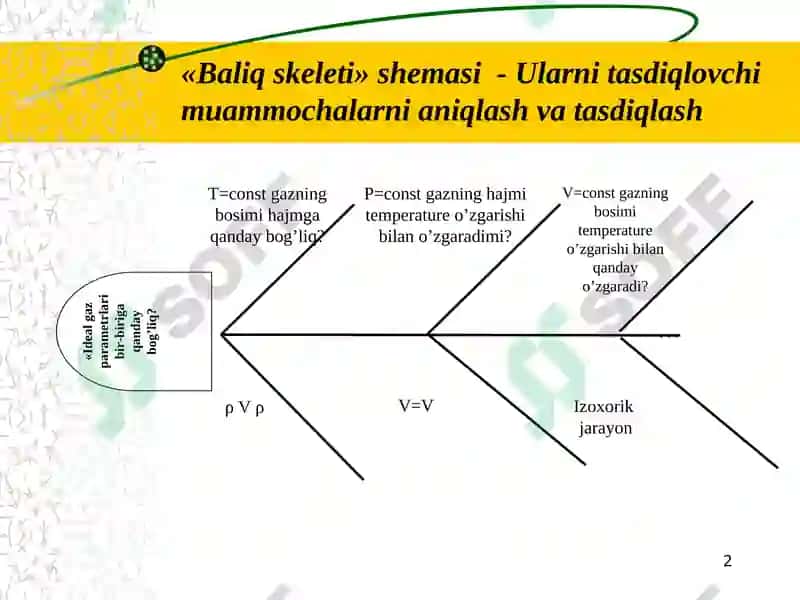 Baliq skeleti chizmasi 2