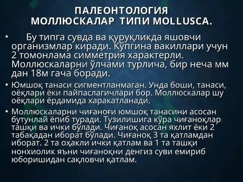 Mollusca – моллюскалар типии 2