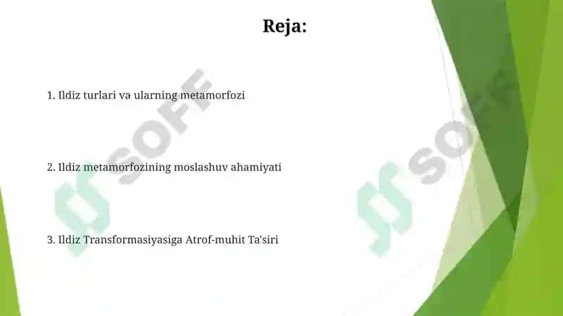 Mikoriza hosil bo'lishi 2