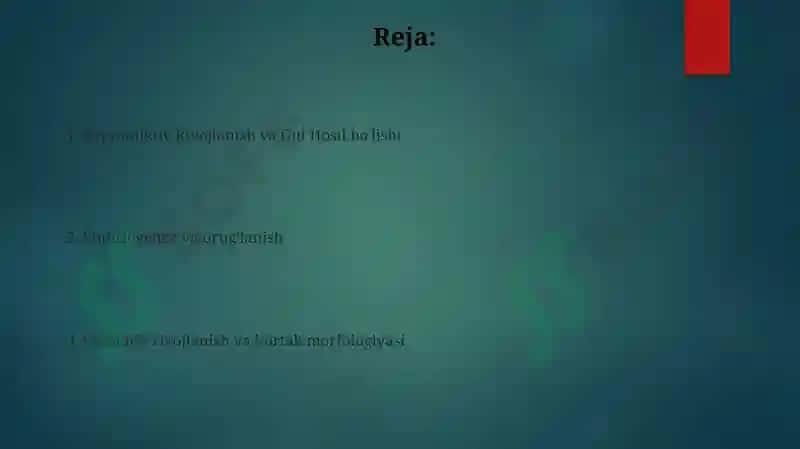 Miyacha rivojlanish anatomiyasi 2