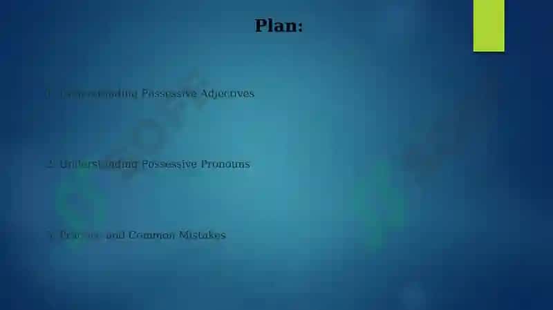 Possessive adjectives and pronouns 2