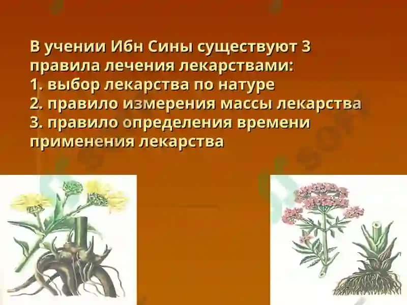 Кафедра ЮНЕСКО «Восточная медицина» 2