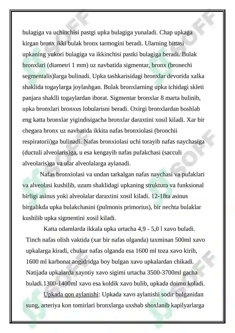 Upka (pulmonez) 2