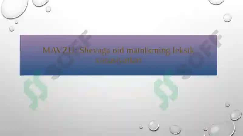 O'zbek tili shevalari leksikasi 2