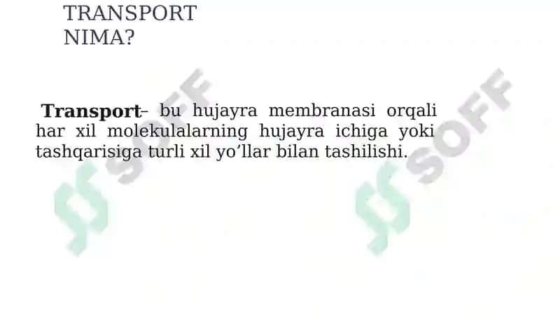 MEMBRANA TRANSPORTI 2