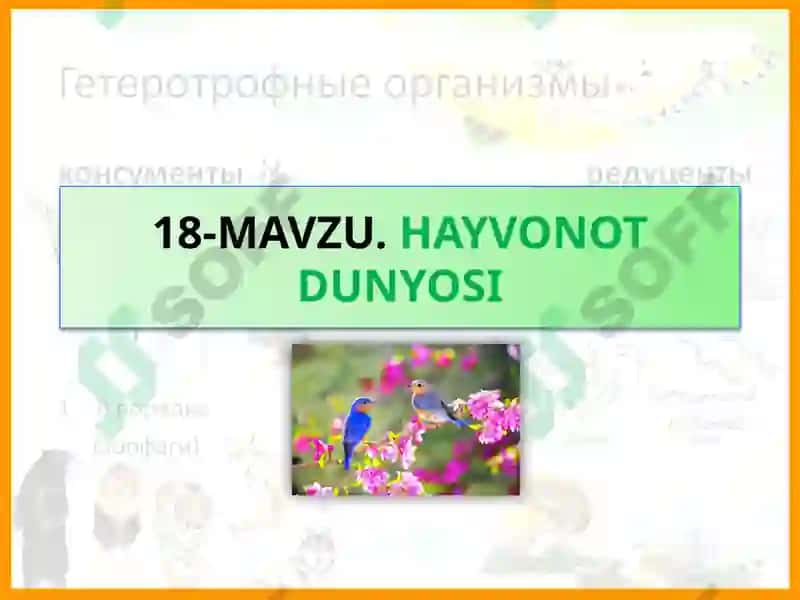 HAYVONOT DUNYOSI 2
