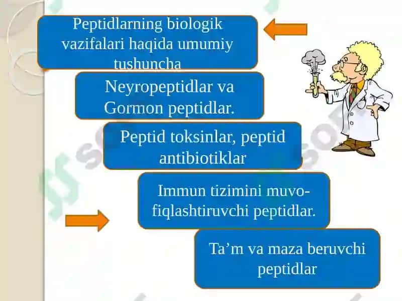 Peptidlarning biologik vazifalari 2
