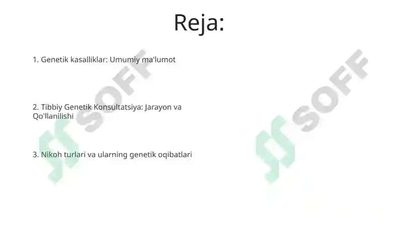 Mc_Senoritta 2
