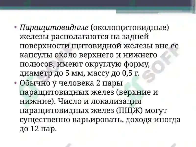 Заболевания паращитовидных желез. Гипер- и гипопаратиреоз. 2