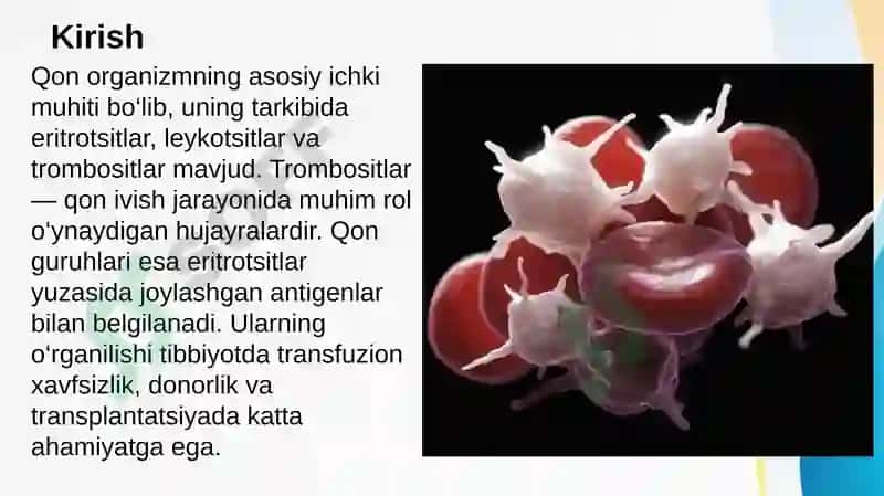Trombositlar, qon guruhlari 2