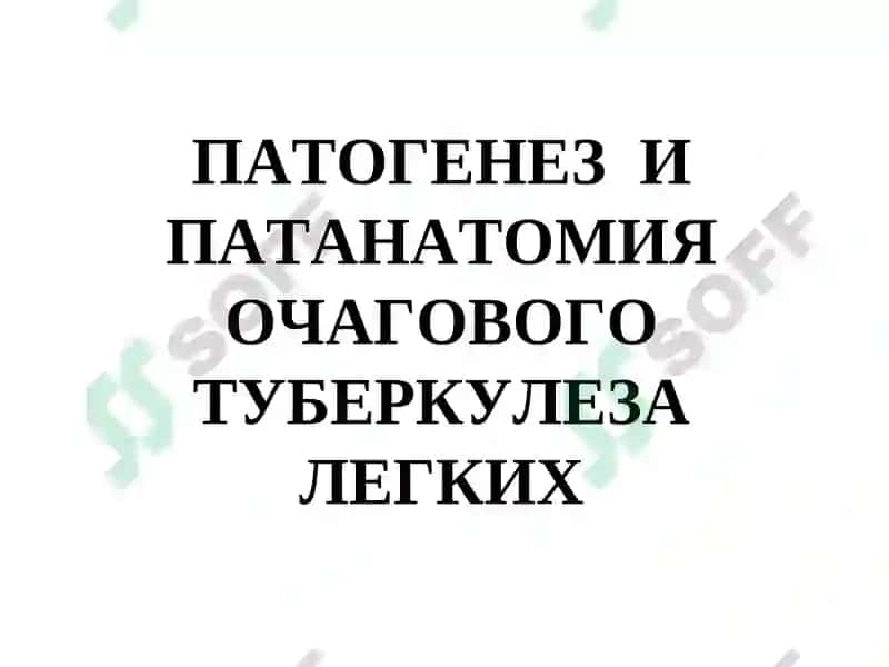 ОЧАГОВЫЙ, ИНФИЛЬТРАТИВНЫЙ ТУБЕРКУЛЕЗ ЛЕГКИХ 2