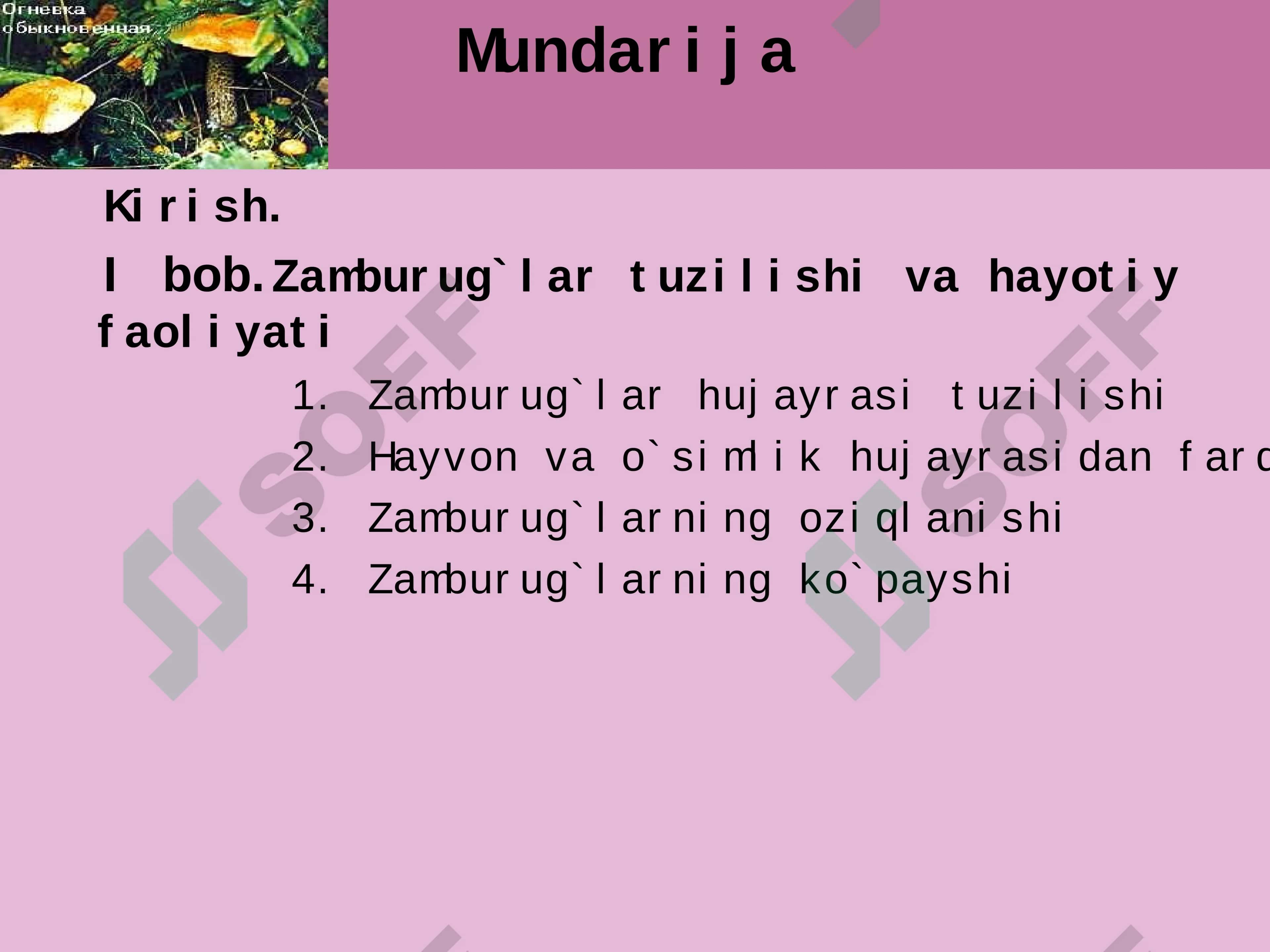 ZAMBURUG`LAR 2