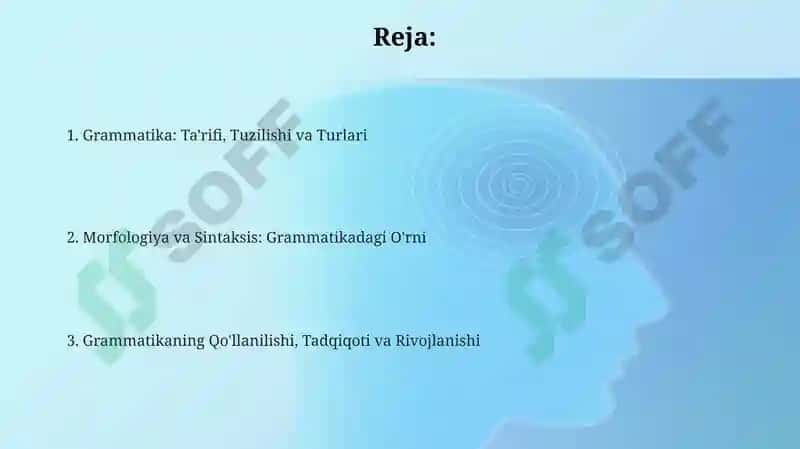 Grammatika-til strukturasini o'rganish 2