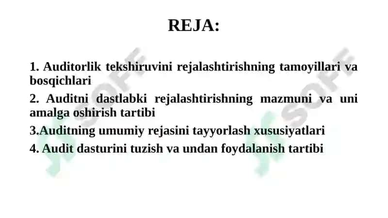 Auditorlik Tekshiruvi Rejalashtirish 2